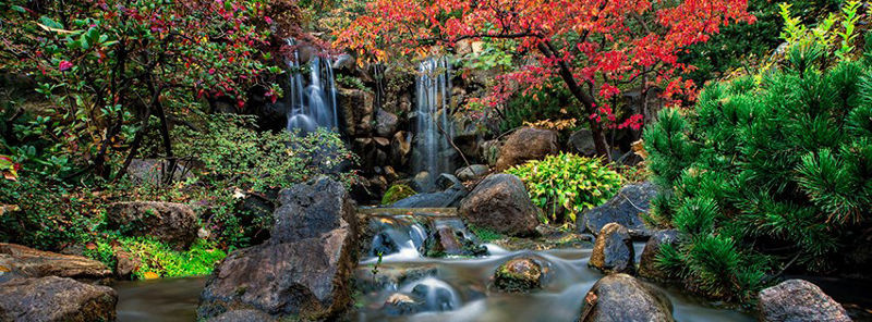 Anderson Japanese Gardens Rockford Illinois
