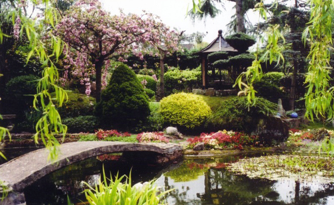 japanese garden