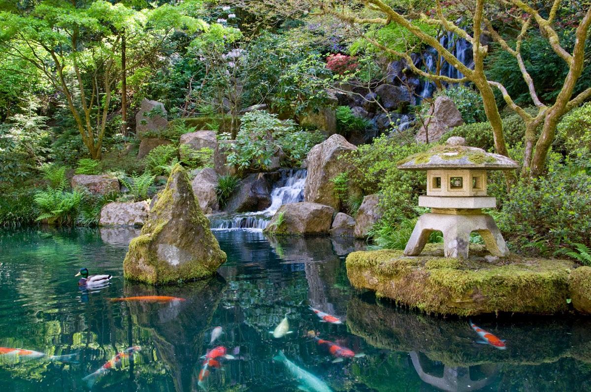 japanese garden