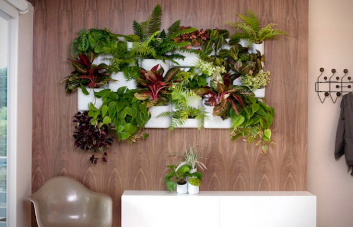 Vertical Garden 6