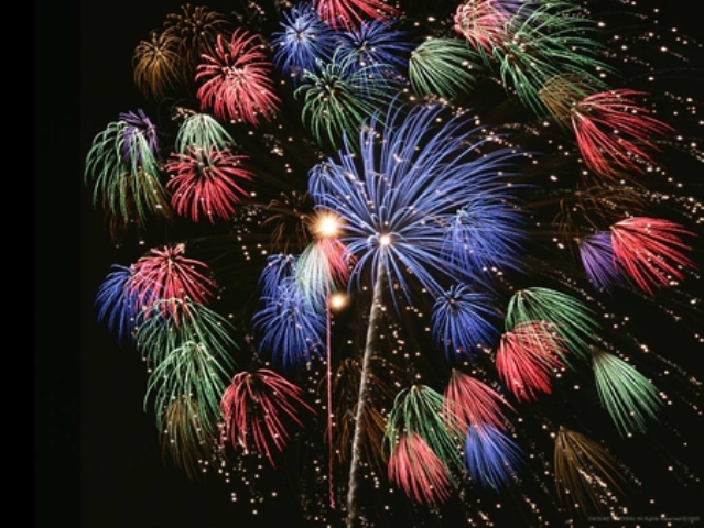 Flower Fireworks 9