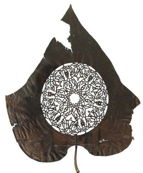 Leaf Artwork 11