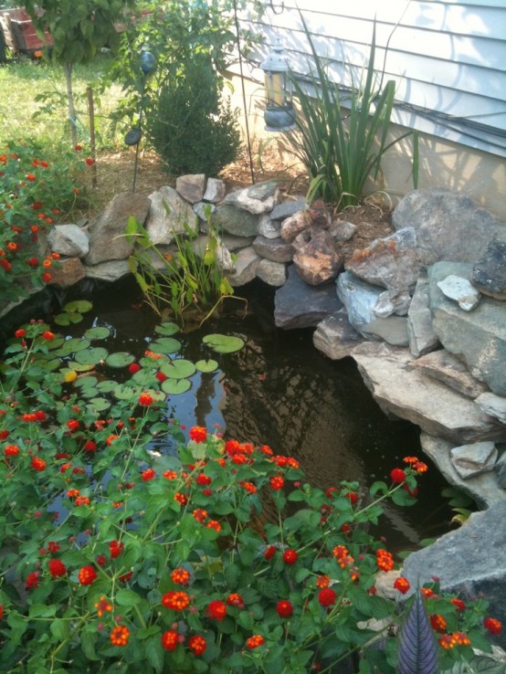 Backyard Pond 12