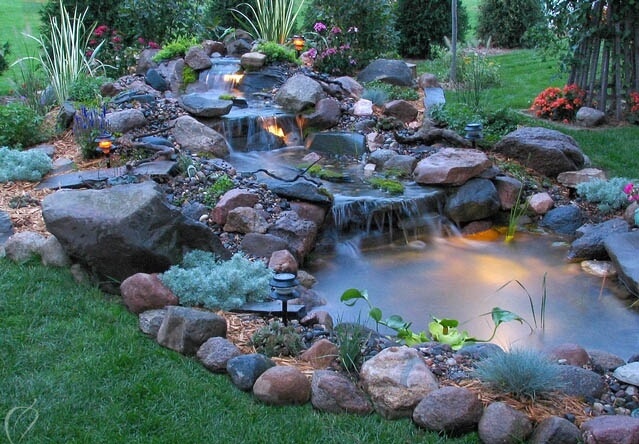 Backyard Pond 14