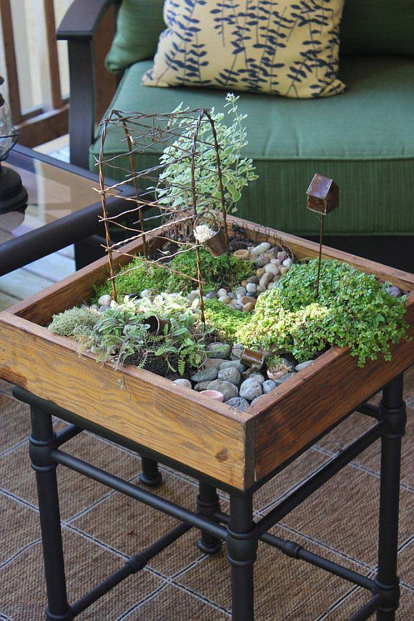 Build Your Indoor Mini Garden: Look at These 10 Smart Ideas!