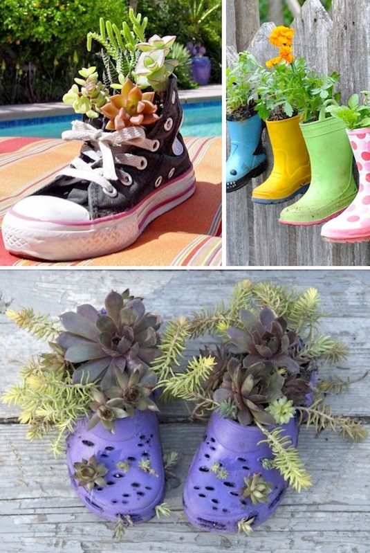 1. Black Gold 2. Rosy 3. Gardening Forums