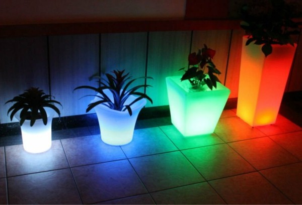 Illuminated Planters 11