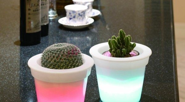 Illuminated Planters 14