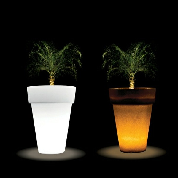 Illuminated Planters 15