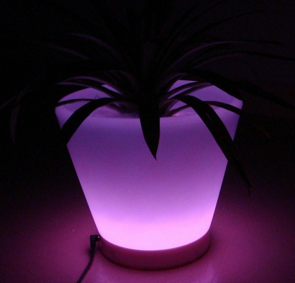 Illuminated Planters 19