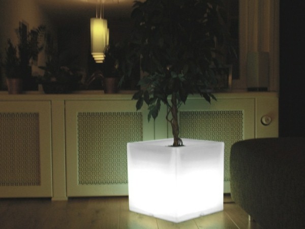 Illuminated Planters 21