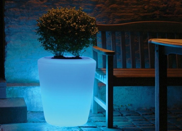 Illuminated Planters 22