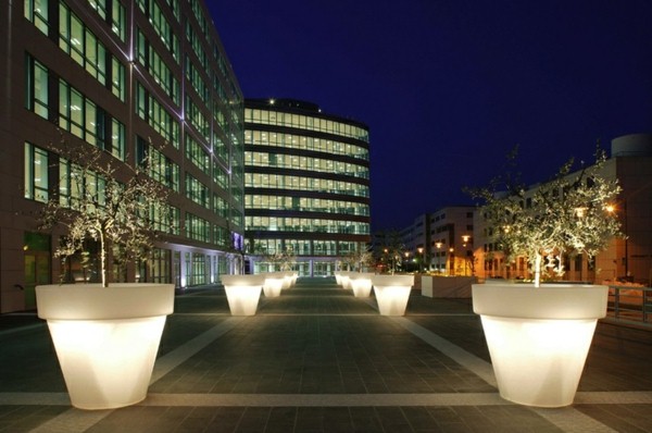 Illuminated Planters 4