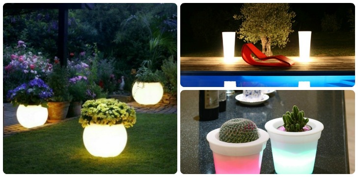 Illuminated Planters Feat