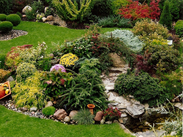 Alpine Rock Gardens Create a Miniature World of Plants Site For