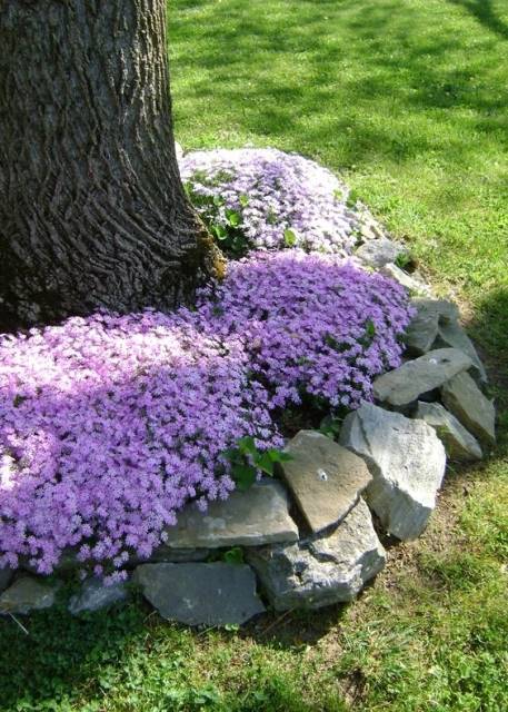 Garden Decorating Ideas: 15 Small Flower Gardens Around Trees