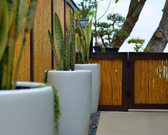 bamboo-fence-12