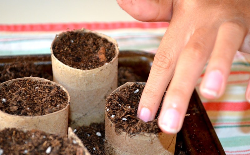 Reusing Toilet Paper Rolls – The Green Dandelion