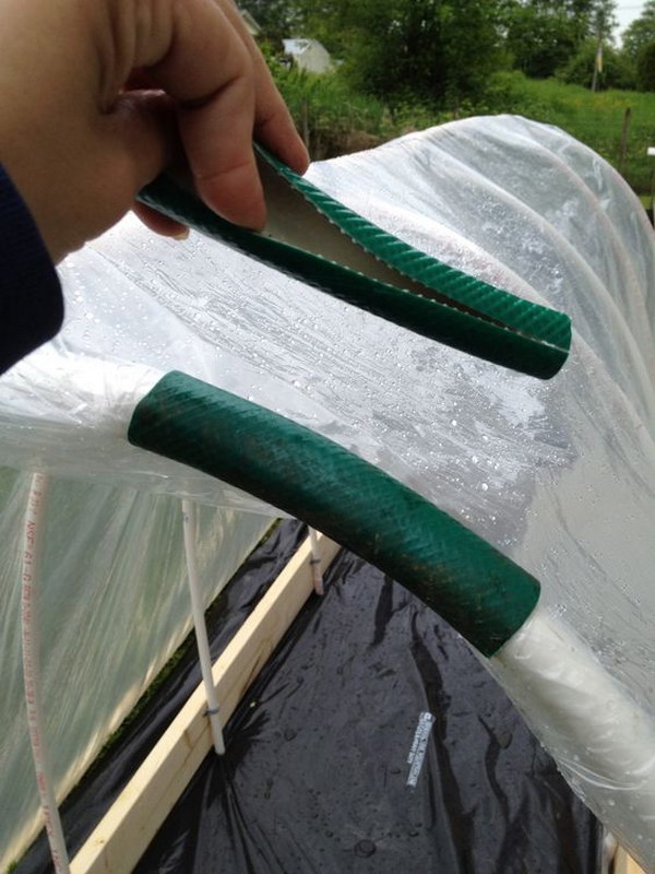 14-Use-An-Old-Hose-To-Keep-Plastic-On-A-Raised-Bed-Garden