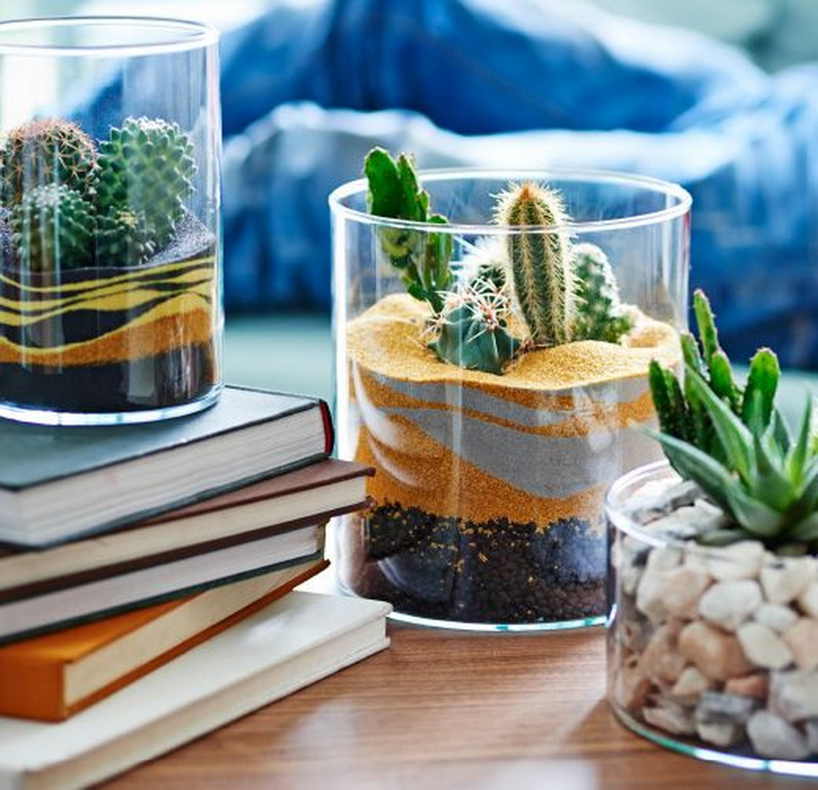 SucculentMiniGarden11