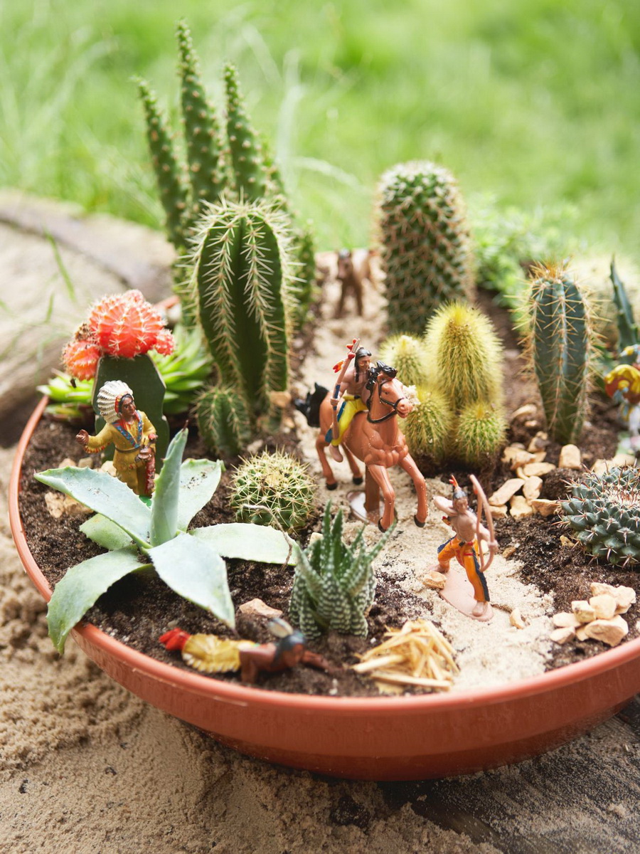 SucculentMiniGarden18