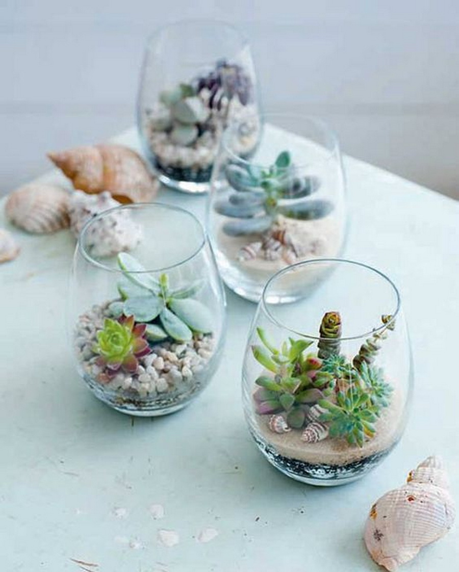 SucculentMiniGarden6