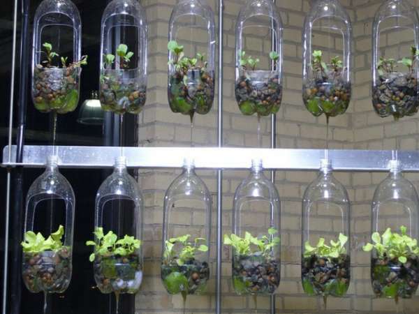 garden-design-used-plastic-bottles-hanging