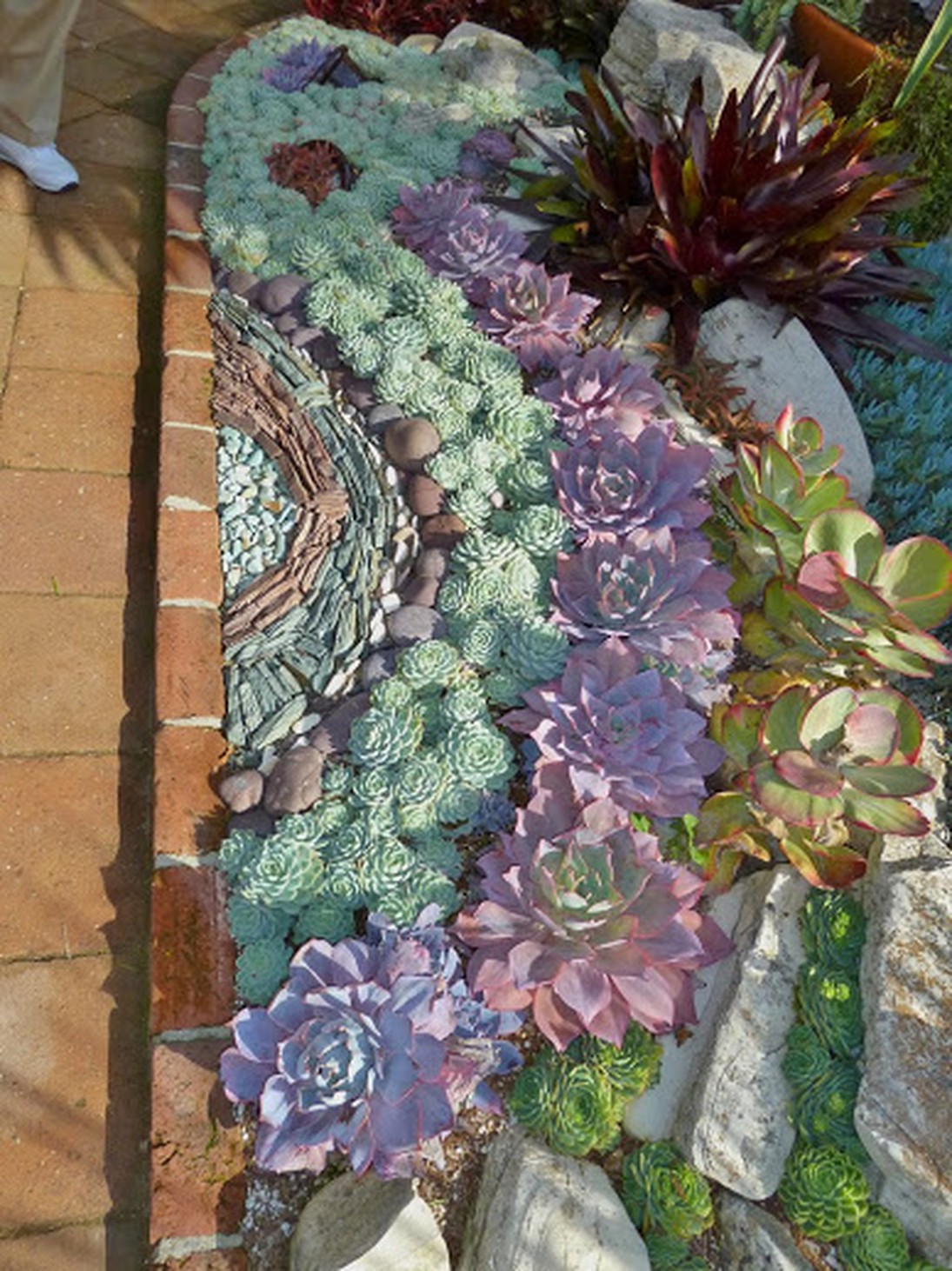 Succulent Garden 10