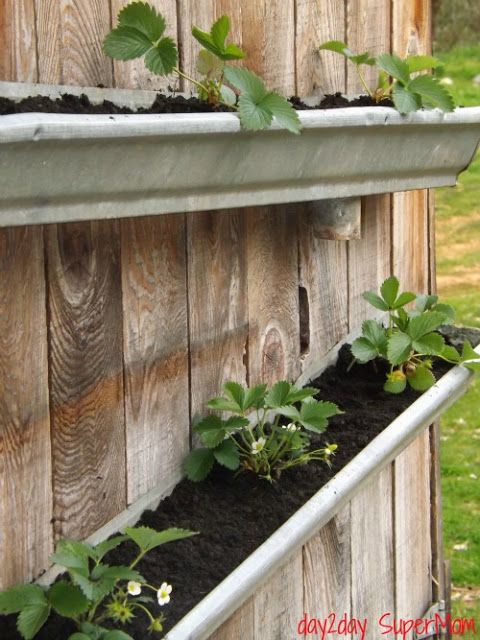 18 Easy DIY Gutter Garden Ideas