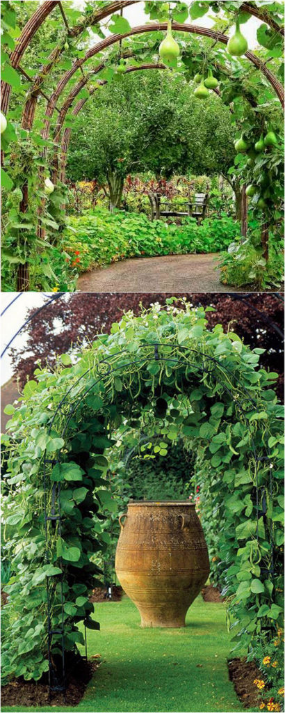 20 Cheap And Easy DIY Trellis & Vertical Garden Structures