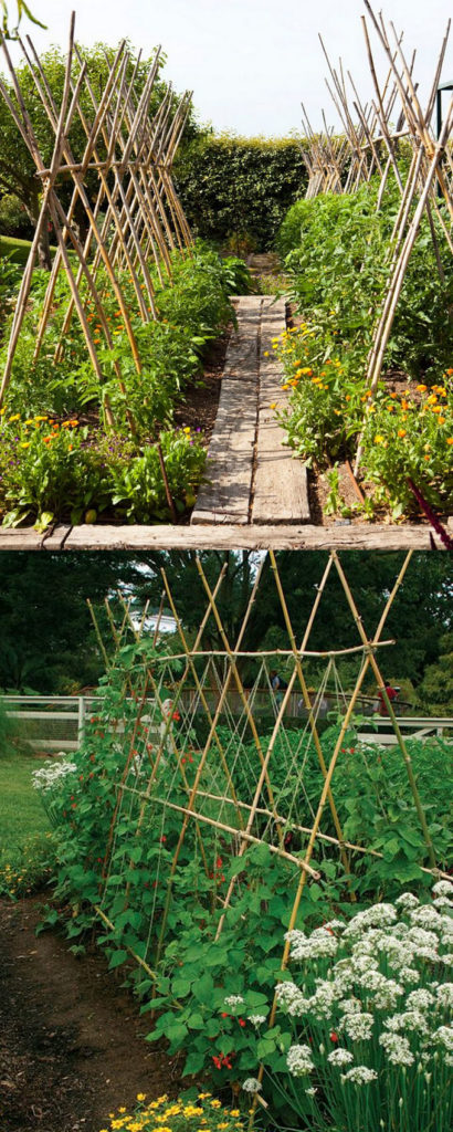 20 Cheap And Easy Diy Trellis Vertical Garden Structures