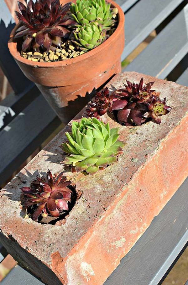 Cool DIY Ideas For Creating Garden or Backyard Projects Using Old Bricks