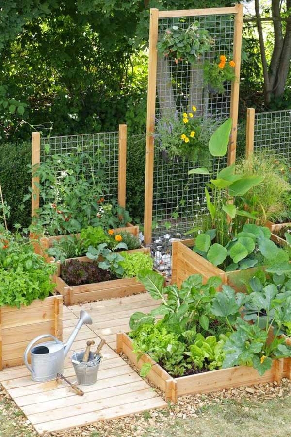 Grow Vegetable Garden 08