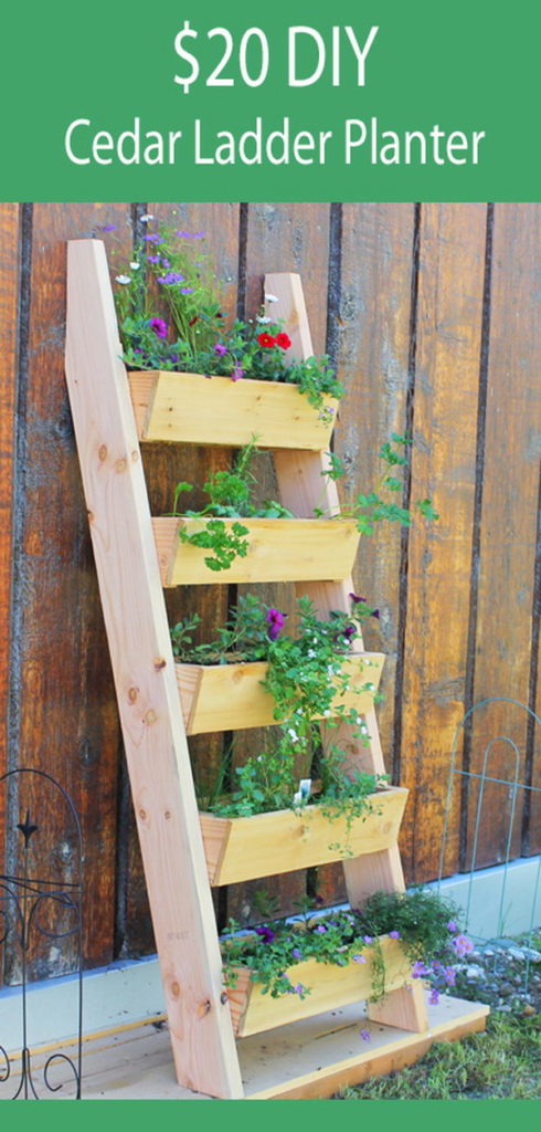 Plant a Vertical Garden 07