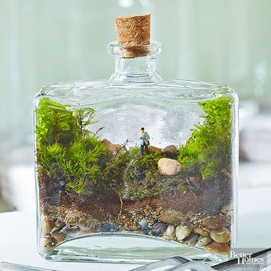 14 Cool Terrarium Ideas That Are Simply Amazing