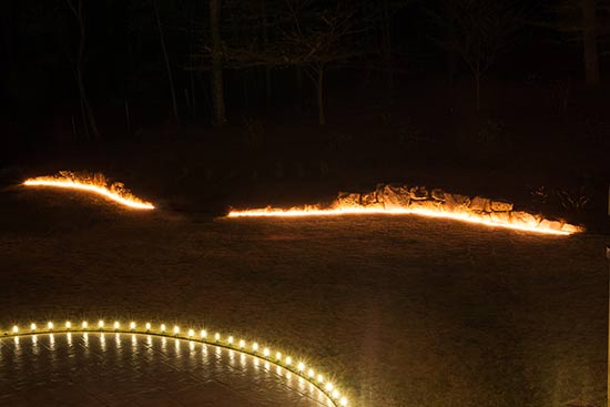 Ingenious Ways to Use Rope Light In Your Backyard!