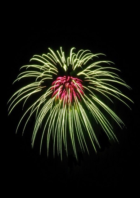 Fireworks That Looks Like Flowers &amp; Flowers That Looks Like Fireworks