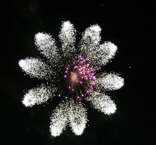 Fireworks That Looks Like Flowers &amp; Flowers That Looks Like Fireworks