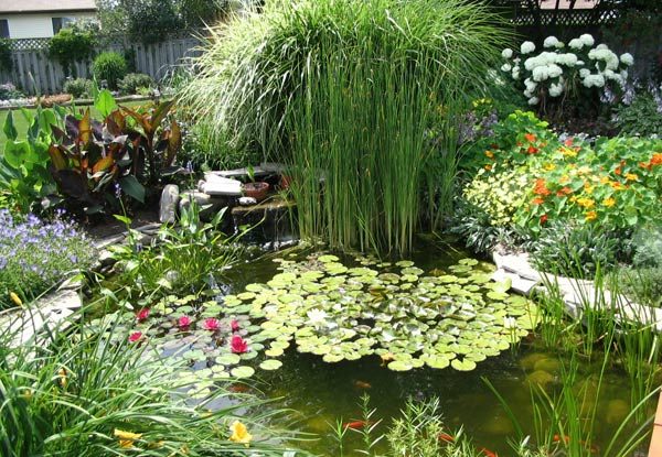 Top 25 Awesome Backyard Pond Design Ideas – Site For Everything