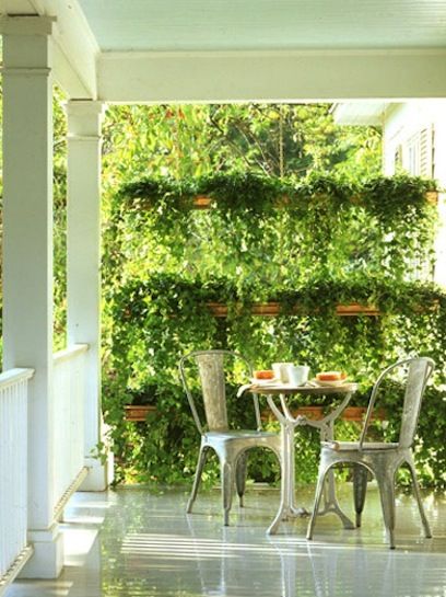 Create Privacy In Your Yard On Some Of These 9 Attractive Ways