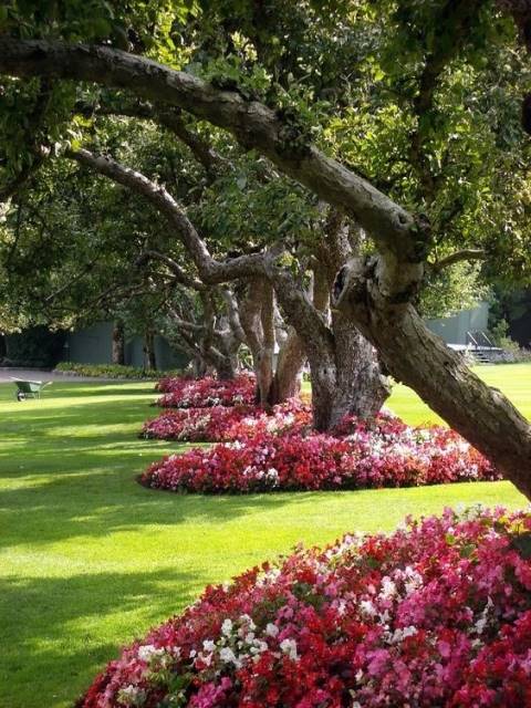 Garden Decorating Ideas: 15 Small Flower Gardens Around Trees